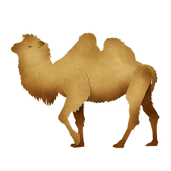 Papel reciclado de camello cortado en papel —  Fotos de Stock