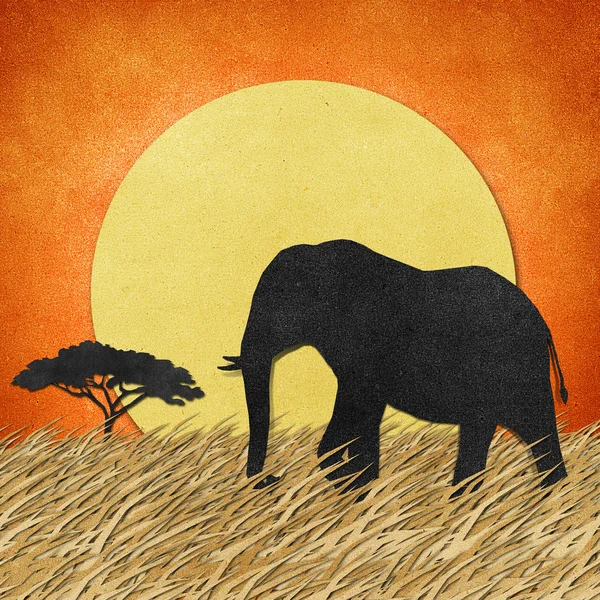 大象在 safari 外地循环再造纸张背景 — 图库照片