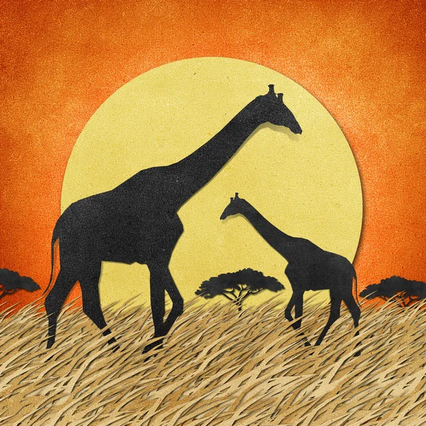 Giraffe in Safari field recycled paper background — Stock Photo, Image