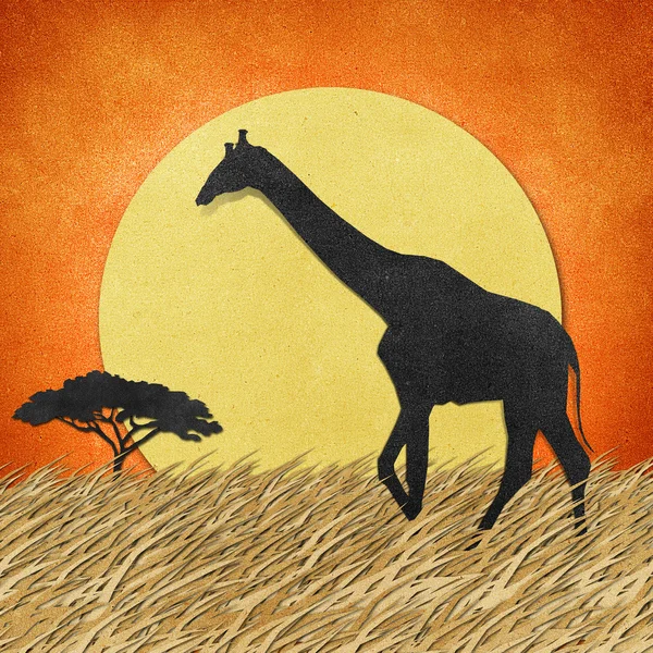 Жираф в области сафари переработанный бумажный фон — стоковое фото