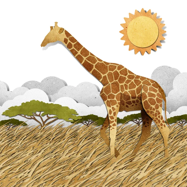 Giraffe in safari veld gerecycleerd papier achtergrond — Stockfoto