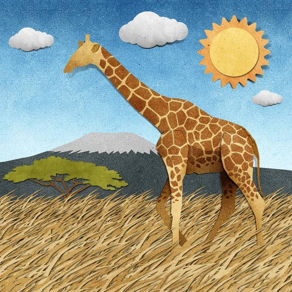 stock image Giraffe in Safari field recycled paper background