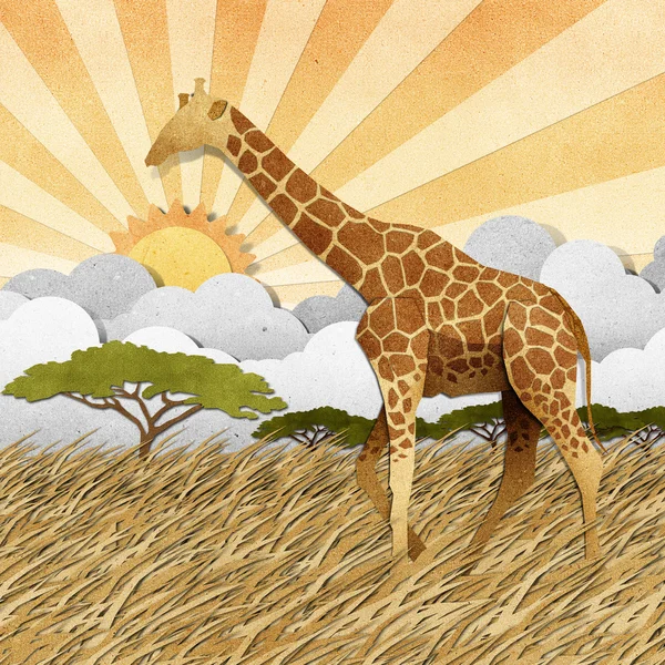 Żyrafa w safari pole recyklingu papieru tło — Zdjęcie stockowe