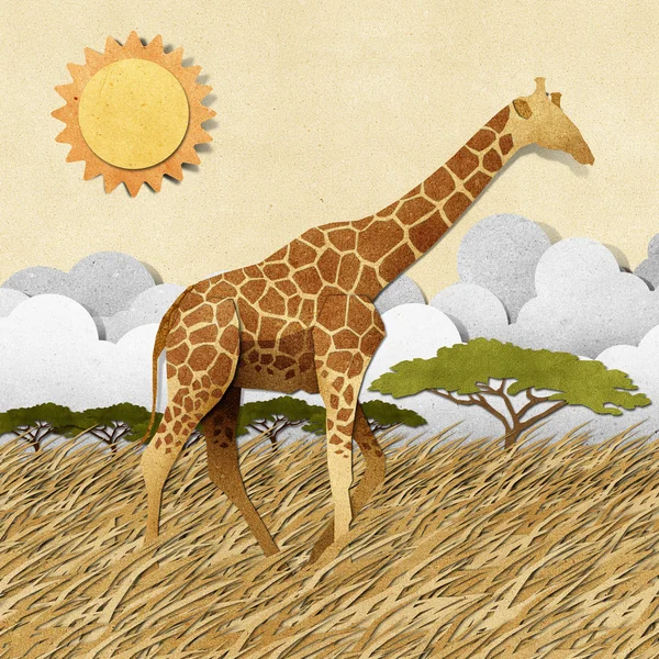 Giraffe in Safari field recycled paper background — Stock Photo, Image