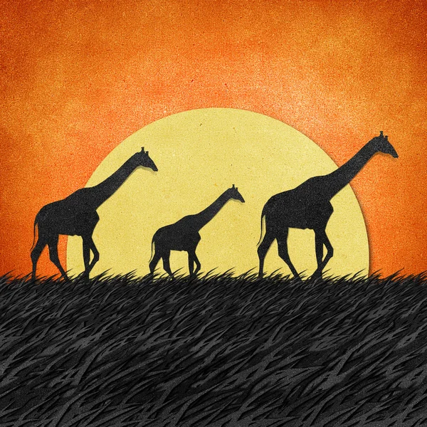 Žirafa safari pole recyklovaný papír pozadí — Stock fotografie