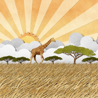 safari alan geri dönüştürülmüş kağıt arka planda zürafa