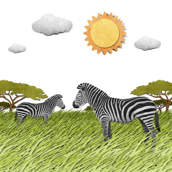 Zebra gerecycleerd papier achtergrond — Stockfoto