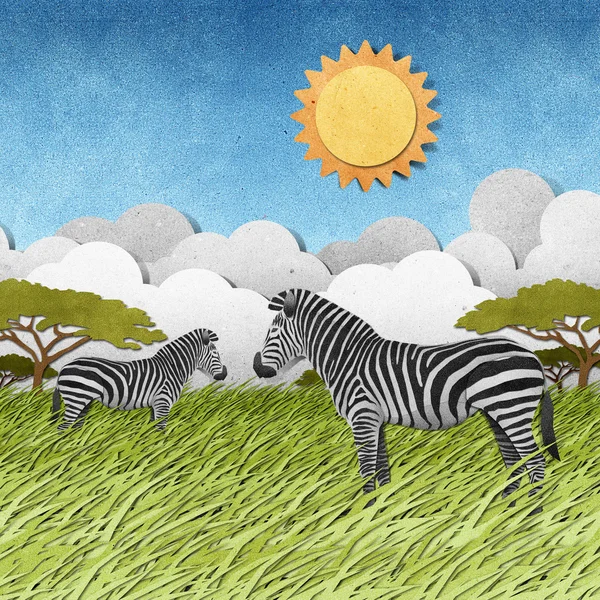 Zebra z recyklingu papieru tło — Zdjęcie stockowe