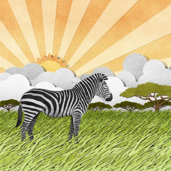 Zebra z recyklingu papieru tło — Zdjęcie stockowe