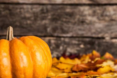 Autumn border with pumpkin