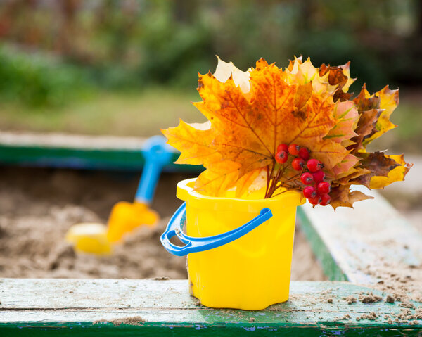 Букет кленовых листьев
