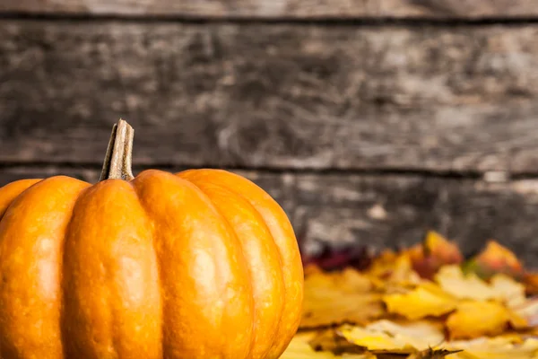 Bordo di autunno con zucca grande — Foto Stock