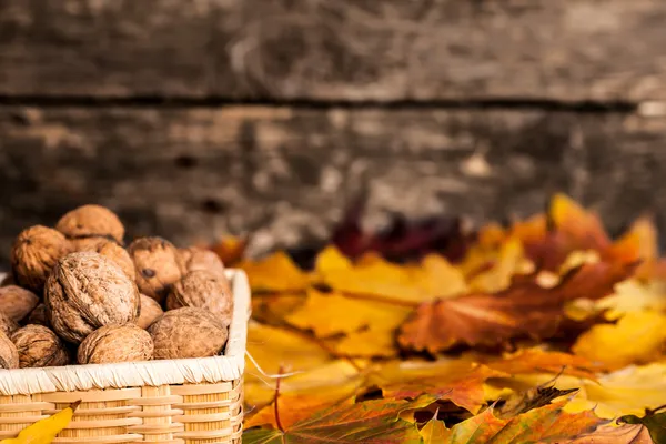 Осенняя граница с грецкими орехами — стоковое фото
