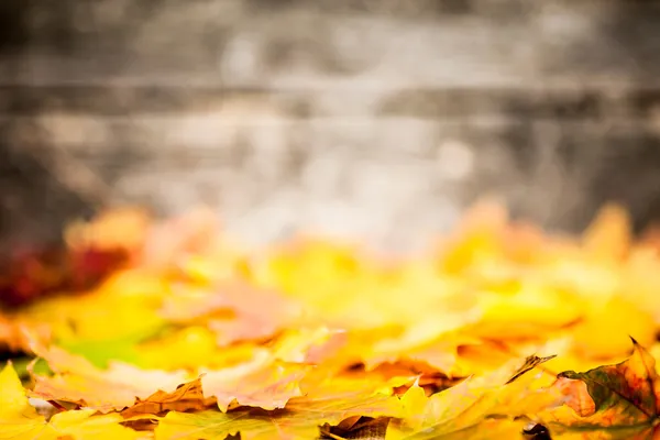 Autumn border from yellow leaves — Stock Photo, Image