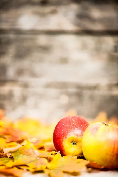 Herbstborte aus Äpfeln und Blättern — Stockfoto