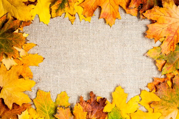 Осенняя рамка на холсте — стоковое фото