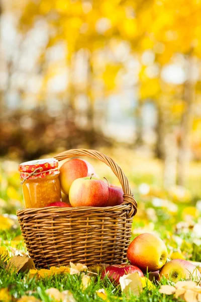 Mermelada de manzana en frasco — Foto de Stock
