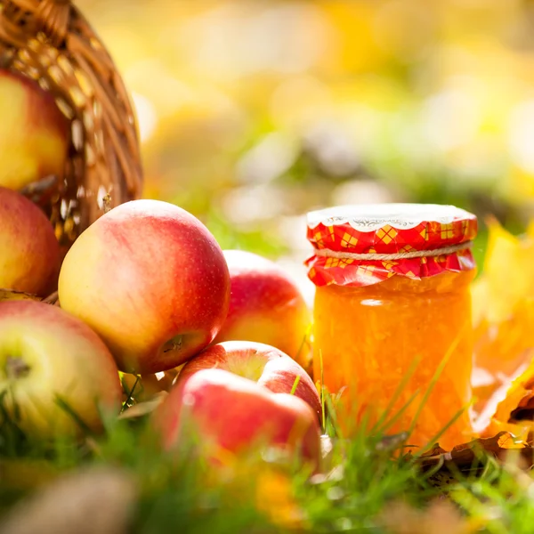 Яблучне варення в банці — стокове фото