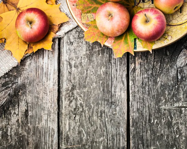 Herfst grens van appels en gele bladeren — Stockfoto