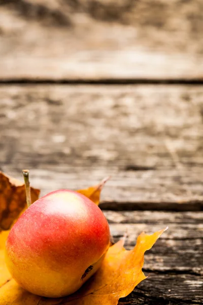 Осенний фон с яблоком на листе — стоковое фото