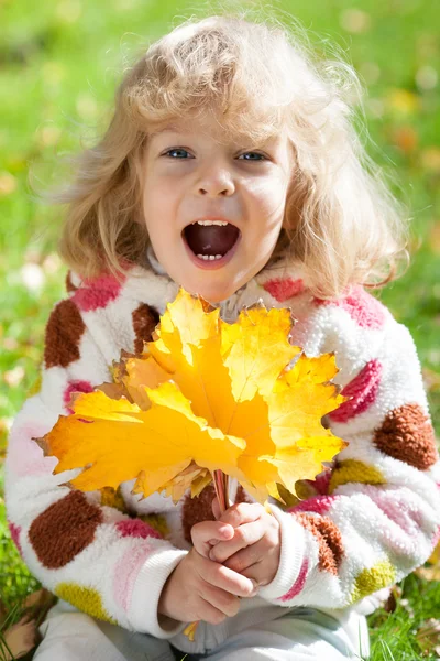 Criança com folhas de bordo amarelas — Fotografia de Stock