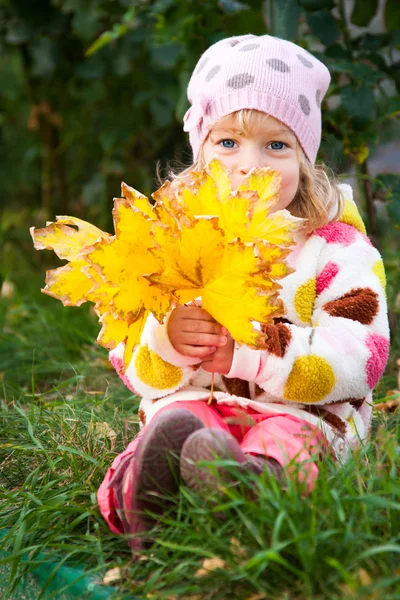 Niño escondido detrás de hojas de otoño — Stok fotoğraf