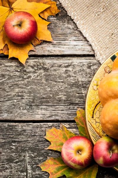Autumn background Stock Image