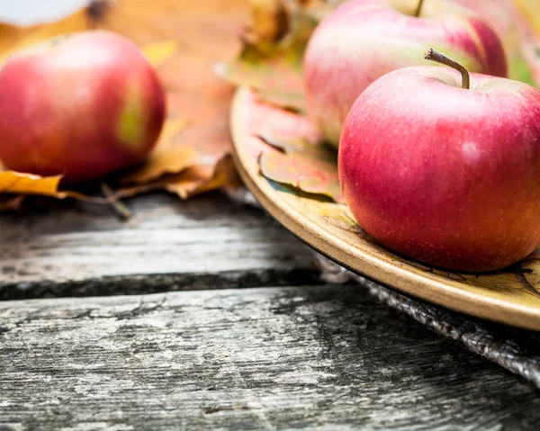 Herbstäpfel — Stockfoto