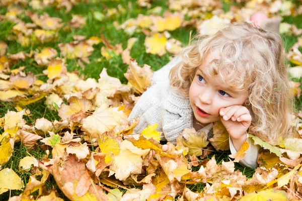 Portrét dítěte na podzim ストック画像