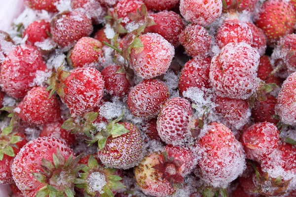 Appetitliche Erdbeeren — Stockfoto