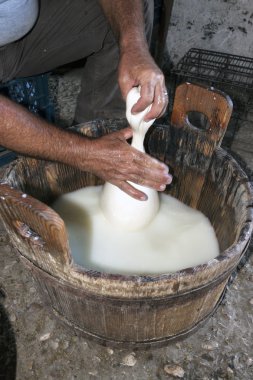 Çiftçi peynir alır