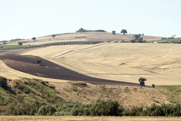 Panoramablick auf das land in apulien italien — Stockfoto