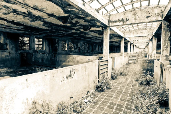 旧工場 — ストック写真