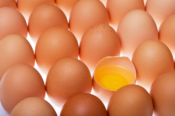 Eggs background — Stock Photo, Image