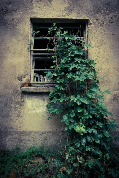 Terk edilmiş alan — Stok fotoğraf