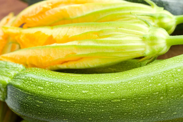 stock image Zucchini and zucchini flowers