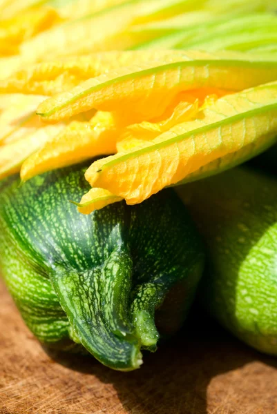 stock image Zucchini and zucchini flowers