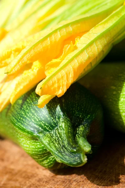 Zucchini and zucchini flowers — Stock Photo, Image