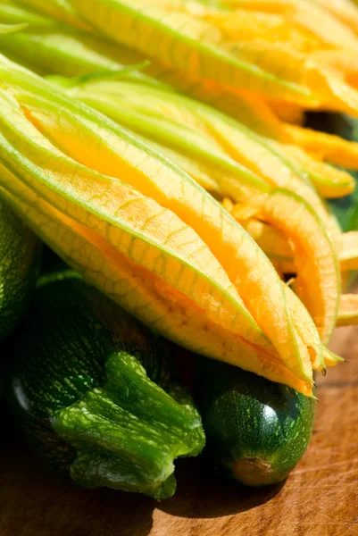 stock image Zucchini and zucchini flowers