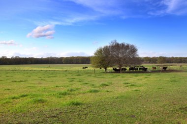 Farm landscape clipart