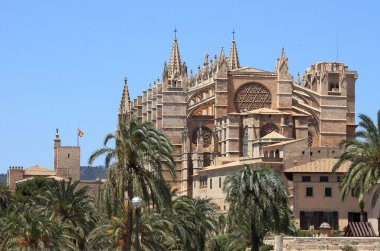 Palma de Mallorca cathedral clipart