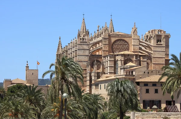 Palma de Mallorca cathedral — Stock Photo, Image