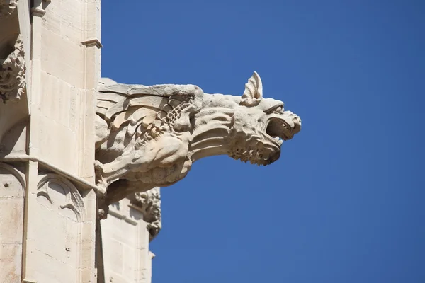 Gargoyle bij la lonja monument — Zdjęcie stockowe