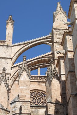 Palma de Mallorca cathedral clipart