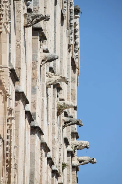 Waterspuwers van de kathedraal van palma de mallorca — Stockfoto