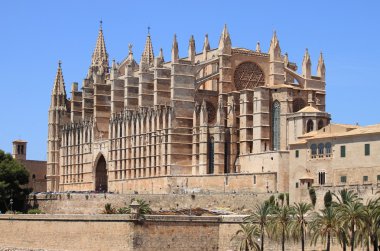 Palma de Mallorca cathedral clipart