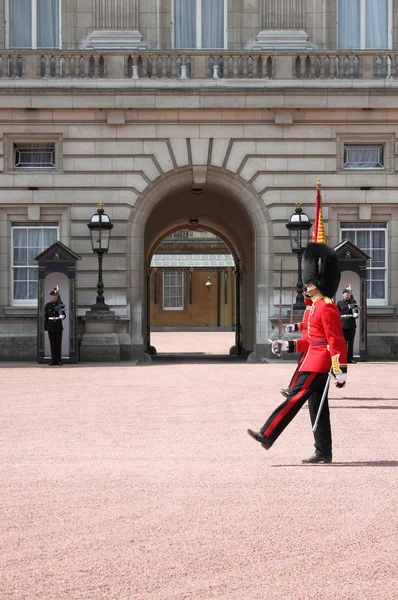 Střídání stráží v Buckinghamském paláci — Stock fotografie
