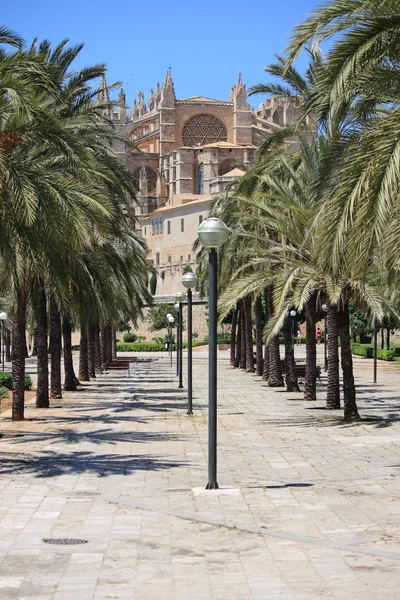 stock image Palma de Mallorca cathedral