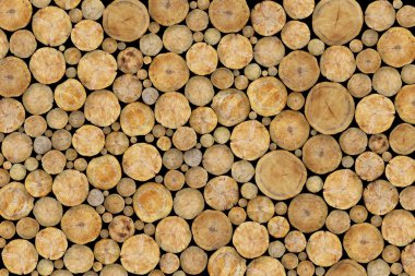 Stacked Logs Background clipart