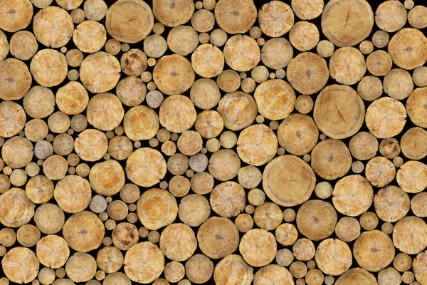 Stacked Logs Background — Stock Photo, Image